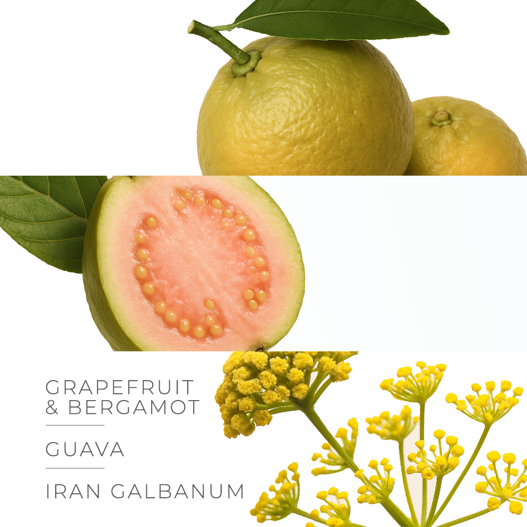 Holiday Collection - SOLARE - Perfumes of 30ml