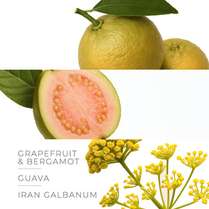 Holiday Collection - SOLARE - Perfumes of 30ml