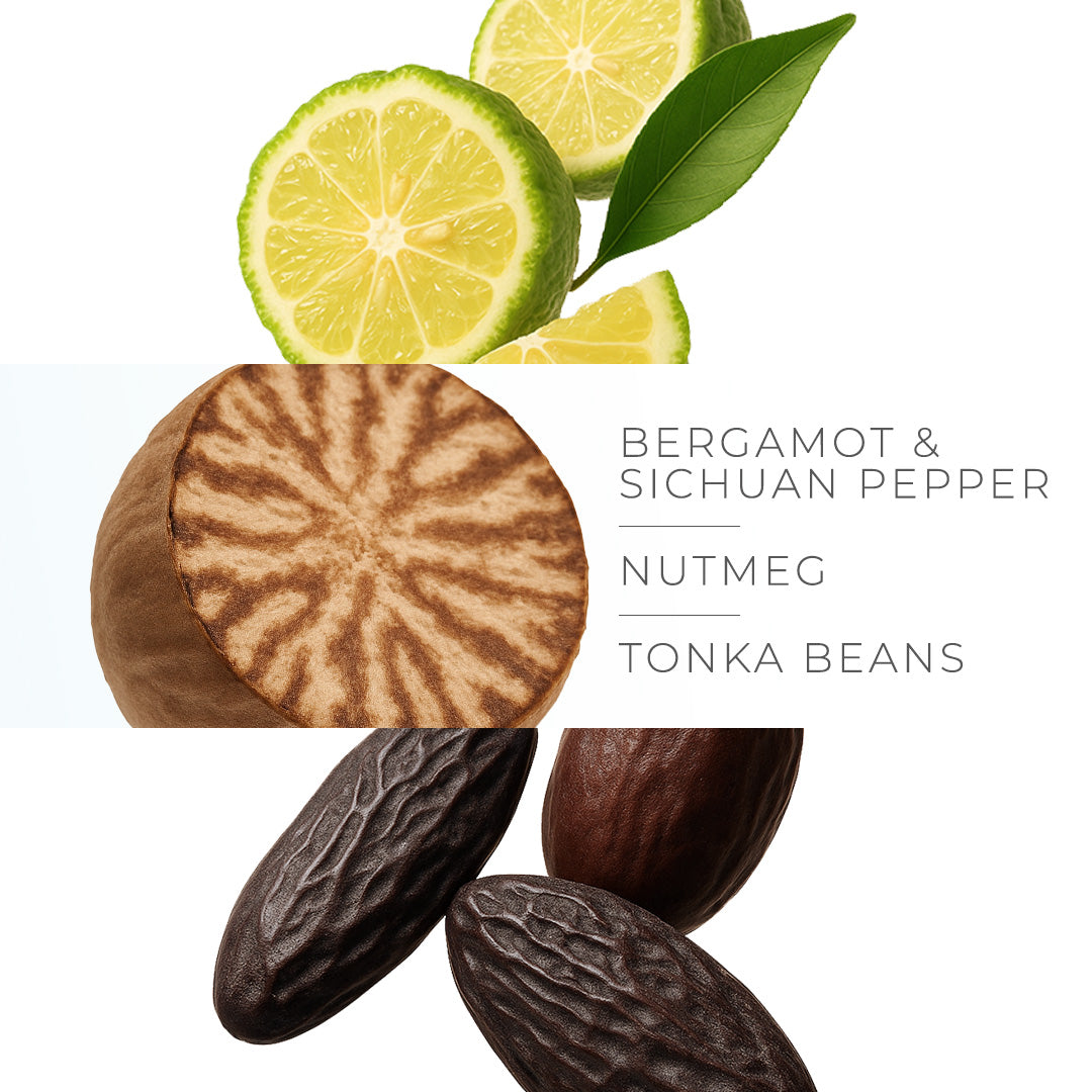 EDIBLE Collection - ZESTY AMBROSIA - Perfumes of 30ml