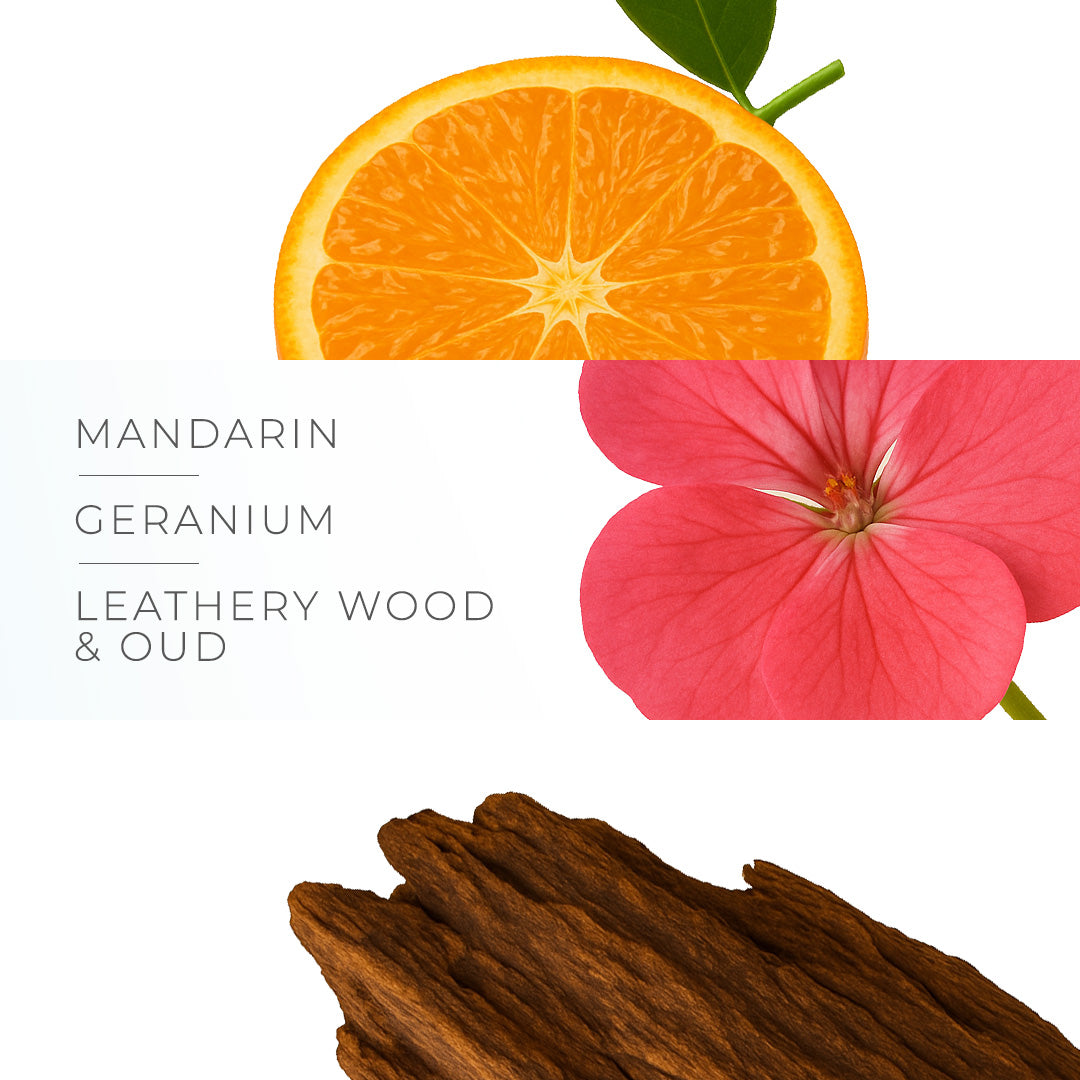 Oud Collection - AME OUDH - Perfumes of 30ml
