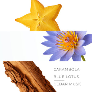 His and Her Collection - Maya Bay - Perfumes of 30ml