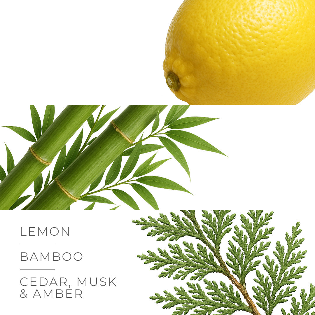 Mile marine - zestysytress, patchouli  and amber wood