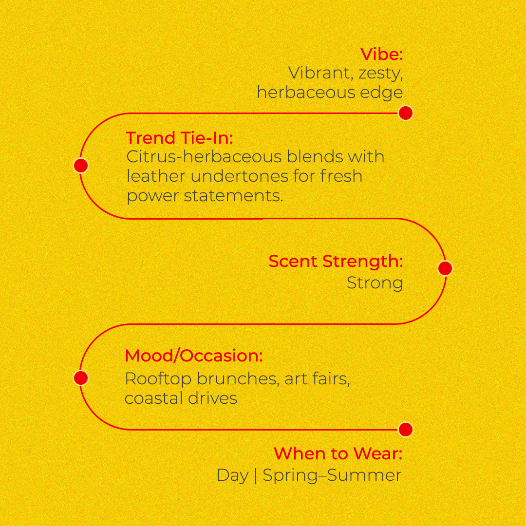 City Collection - Ibiza Perfumes of 30ml