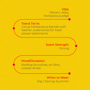 City Collection - Ibiza Perfumes of 30ml